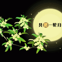 奧邦|遙望月將圓，顧家正當(dāng)時