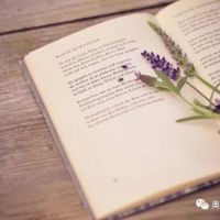 相約夏季，在奧邦邂逅書香